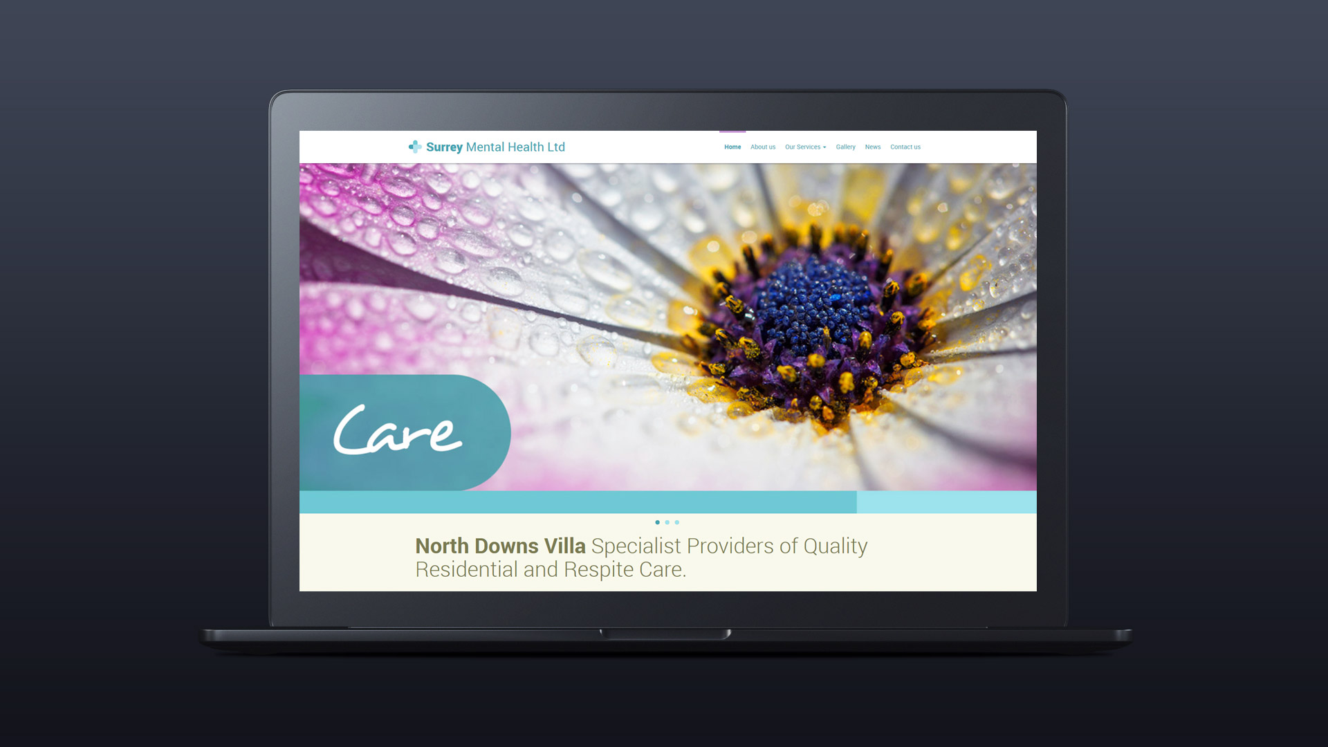 web design project care home